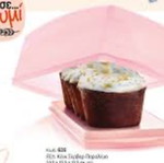 Tupperware cake server new