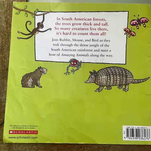 Rainforest Adventure children's book, Amazing Animals series