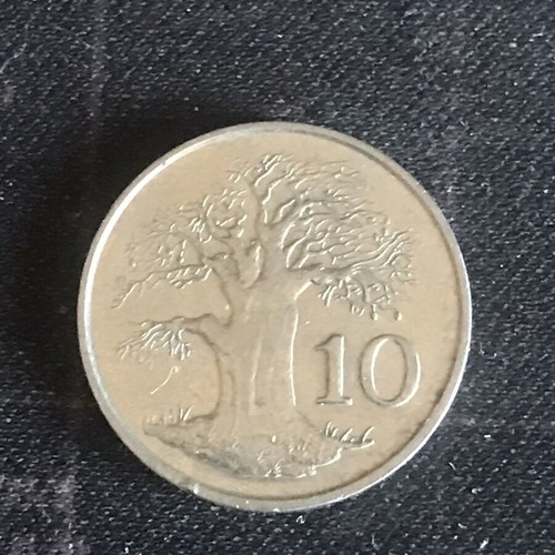 Zimbabwe 10 Ngwee coin 1991