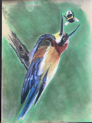 Bird portrait painting pastel on cardboard used