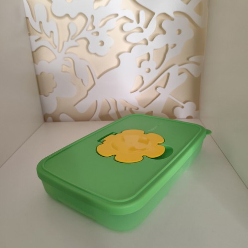 Tupperware baby wipes small size, half pack