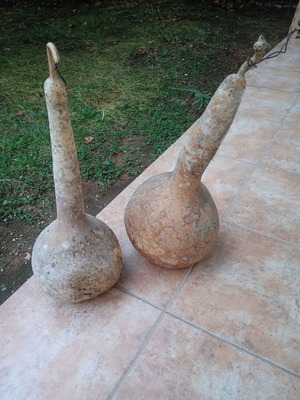 2 large dried bottle gourds, approx. 60 cm length