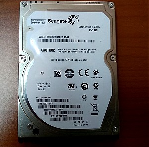 Σκληρός δίσκος εσωτερικός Seagate 250GB SATA 2,5΄΄.