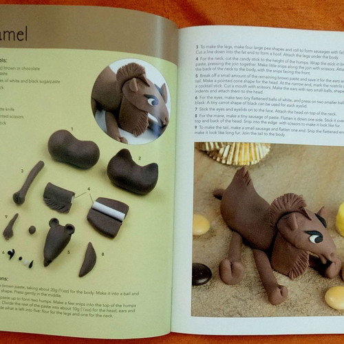 20 to Make Sugar Animals book like new