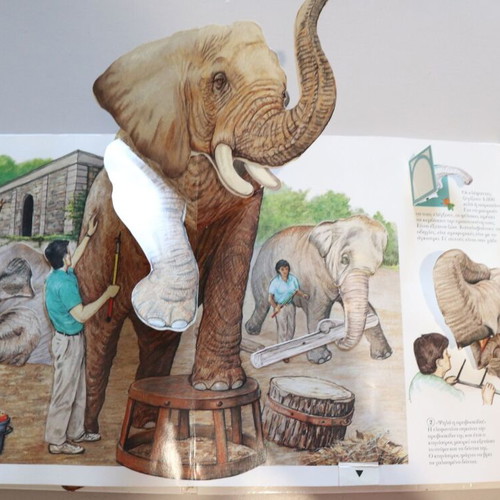 Pop-up book "At the Zoo" used, 10 pages