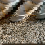 New Balance 550 athletic shoes like new, size 45.5, white