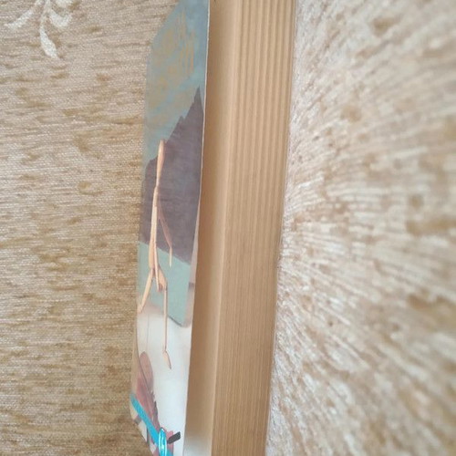 The Boy and Ripley used book by Patricia Highsmith