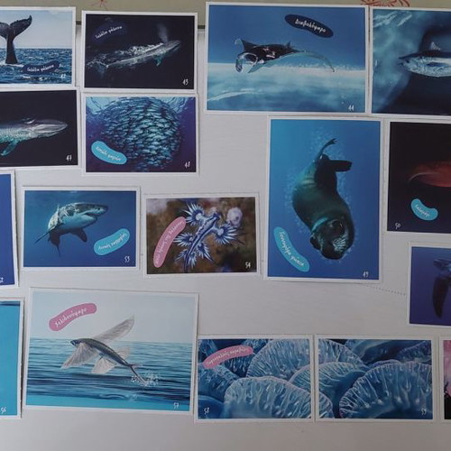 Vasilopoulos Stickers Explore the Ocean New Collection 1-102 with 5 Tattoos