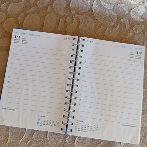 Drewo 2025 diary large