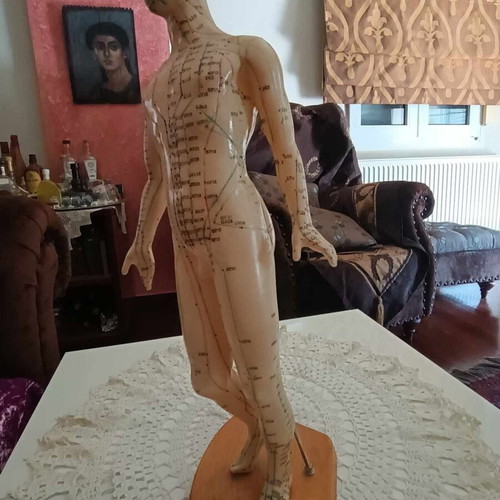 Acupuncture model like new, 48cm height, points and meridians