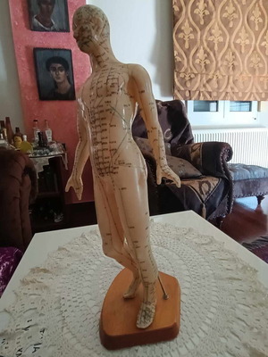 Acupuncture model like new, 48cm height, points and meridians
