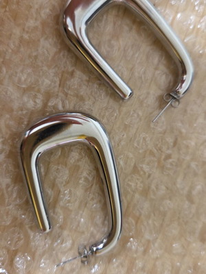 Steel earrings
