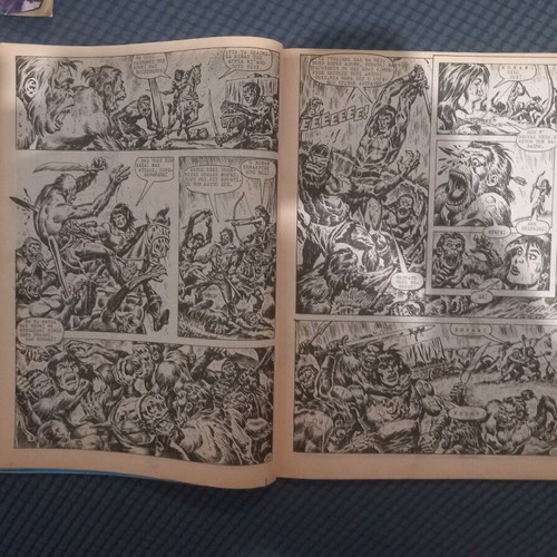 Conan the Barbarian No 43 used