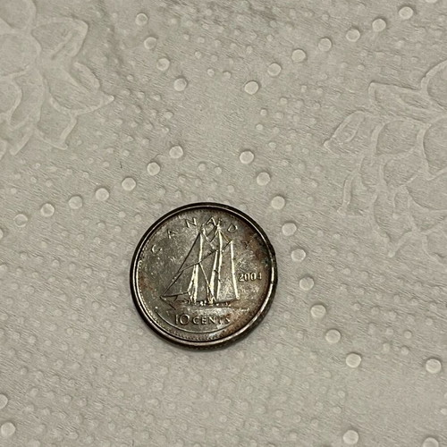 Canada 2004 coin used