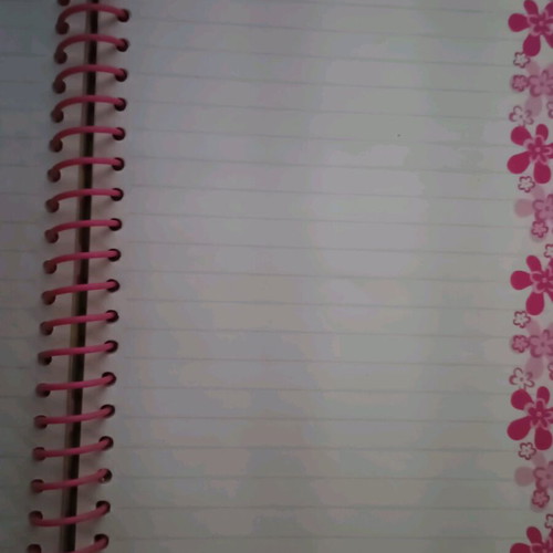 Patty notebook like new