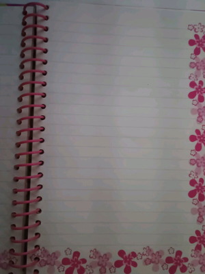 Patty notebook like new