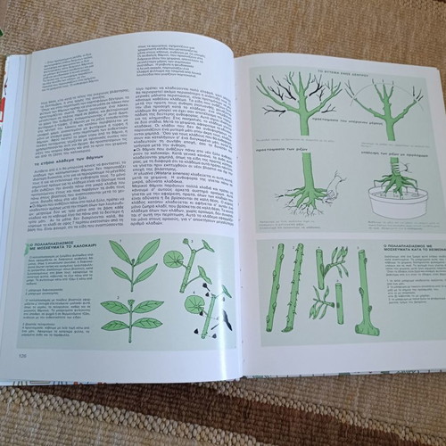 Vintage gardening guide of 1985, two volumes in a paper case