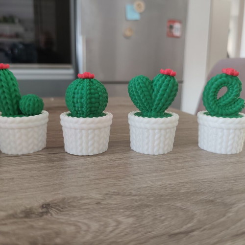 3D-Printed Mini Cactus Set Love, new