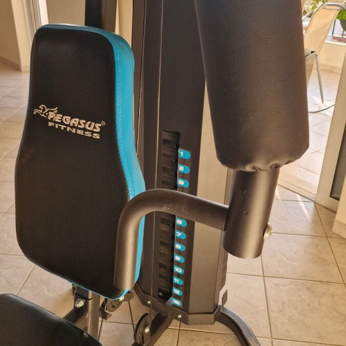 Pegasus JX-DS913 fitness machine like new