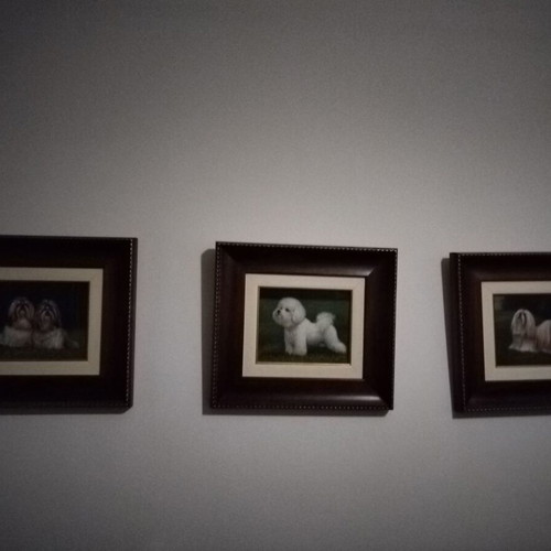 Dog paintings like new, set of 3 with Italian frame