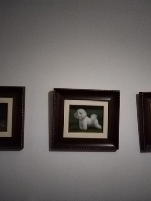 Dog paintings like new, set of 3 with Italian frame