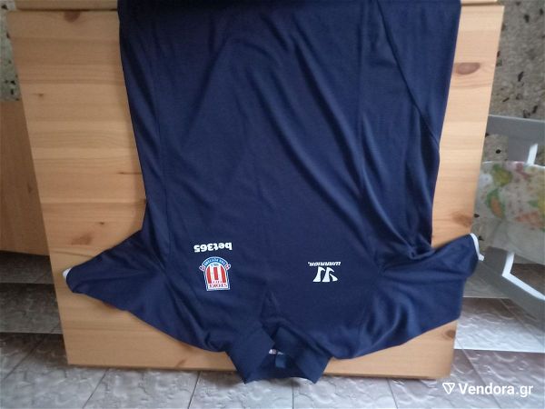  Stoke City training shirt 2015