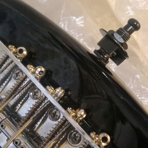 Sound Station SPCL Edition 5-string electric bass guitar