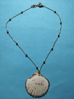 Summer Pendant - Necklace with large shell