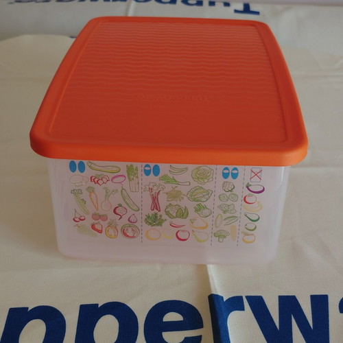 Smart Cooling Container 1.6L new
