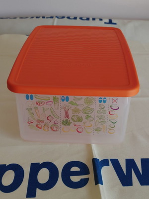 Smart Cooling Container 1.6L new