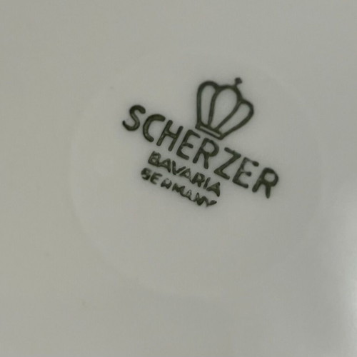 Scherzer Vintage 101-Piece Dinnerware Set Like New
