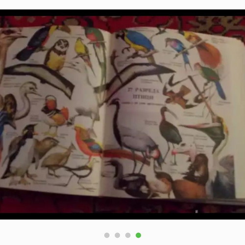 Encyclopedia Svetat Okolo Nas like new, illustrated for youth