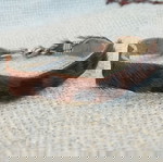  Βραχιόλι δερμάτινο animal print