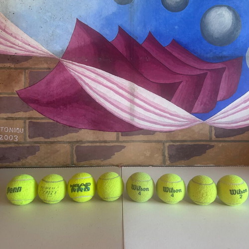 Tennis ball set of 8 with mesh carrying bag, Wilson, Head Pro, Penn