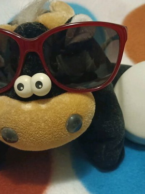 Furla sunglasses used with red-bordeaux frame and brown lenses
