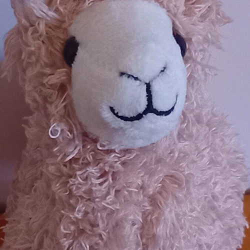 Llama plush toy for children, cuddles or room decoration