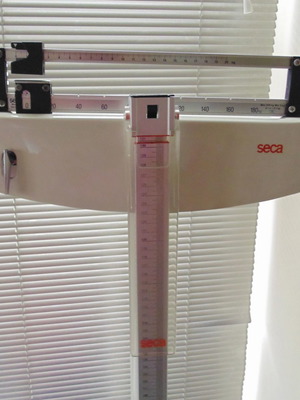 Επαγγελματικός μηχανικός ζυγός ακρίβειας με κολώνα Seca Mod.712 και αναστημόμετρο Mod.220 μεταχειρισμένος