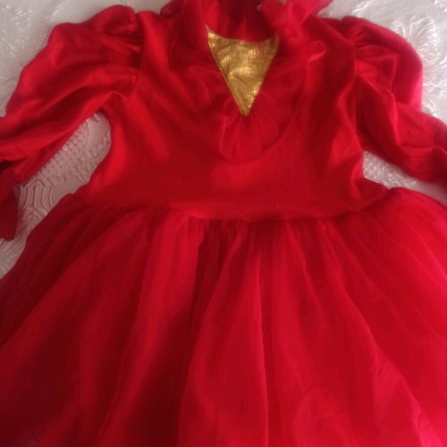Flame costume used in very good condition