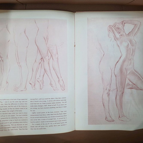 Drawing the Figure used book