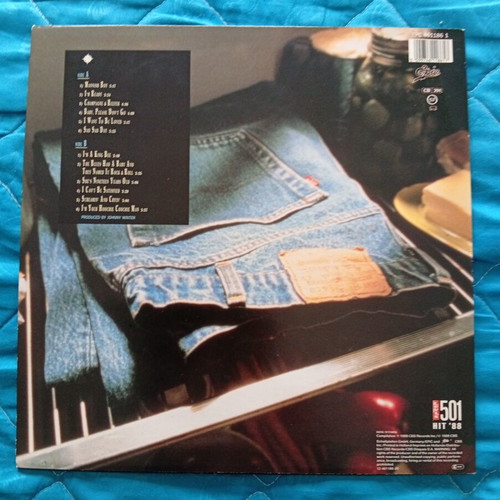 Muddy Waters and Chuck Berry vinyl records like new, rock