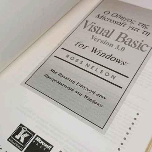 Visual Basic for Windows book used