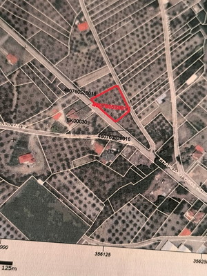 Οικόπεδο έλαιοπερίβολο με 30 δέντρα, οικοδομήσιμο, κεντρικός δρόμος Κομποτάδες Υπάτης