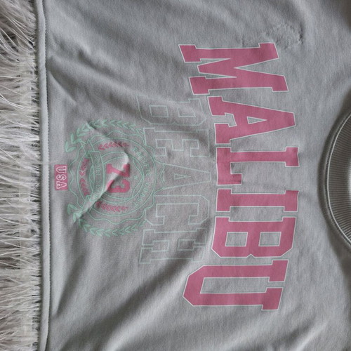 Cropped sweatshirt Malibu with print and feathers, new, grey