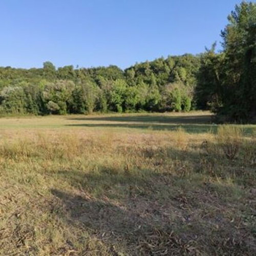 Plot of land 20 stremmata in Arcadia, Tropaia Livadaki area