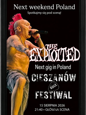 The Exploited poster 32×23cm with frame