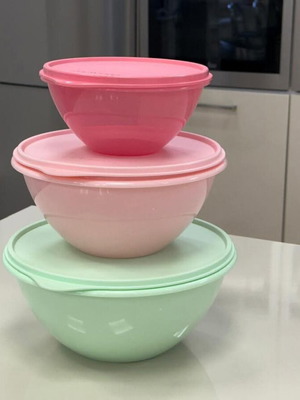 Tupperware Colored Bowls with Lid New Collection