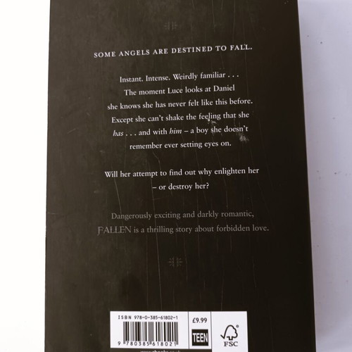Fallen book by Lauren Kate