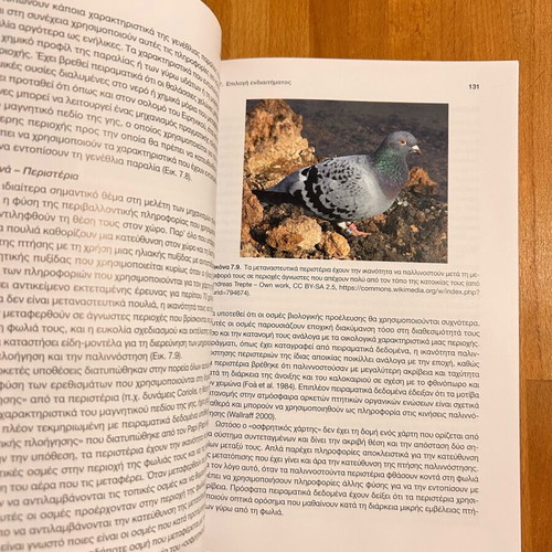 Ethology of Animals like new, Hintiroglou Staikou University Studio Press