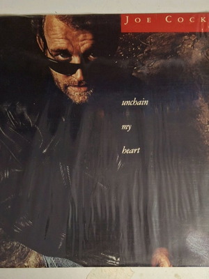 12 Inch Vinyl Record LP like new, rock
