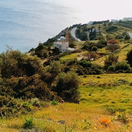 Andros Land Plots 4 Stremmata with Spring and View, Buildable